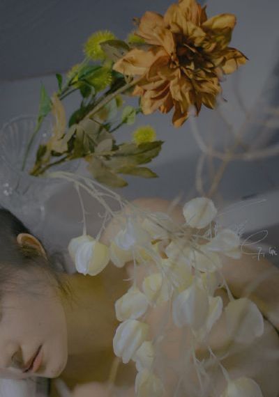 国产美女被艹_超清免费全集观看